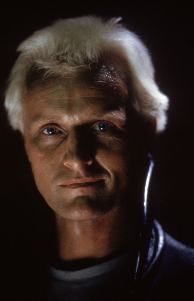 BladeRunner_Arg's tweet photo. https://t.co/BVOil8XSzL