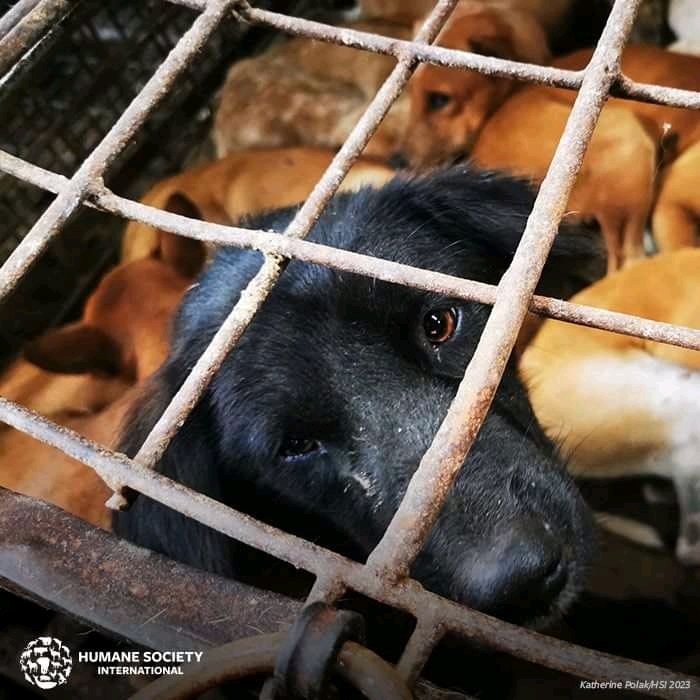 Joseph3Sengendo's tweet photo. These are not prisoners please treat them the way you treat your children https://t.co/4DU3ljXeMx