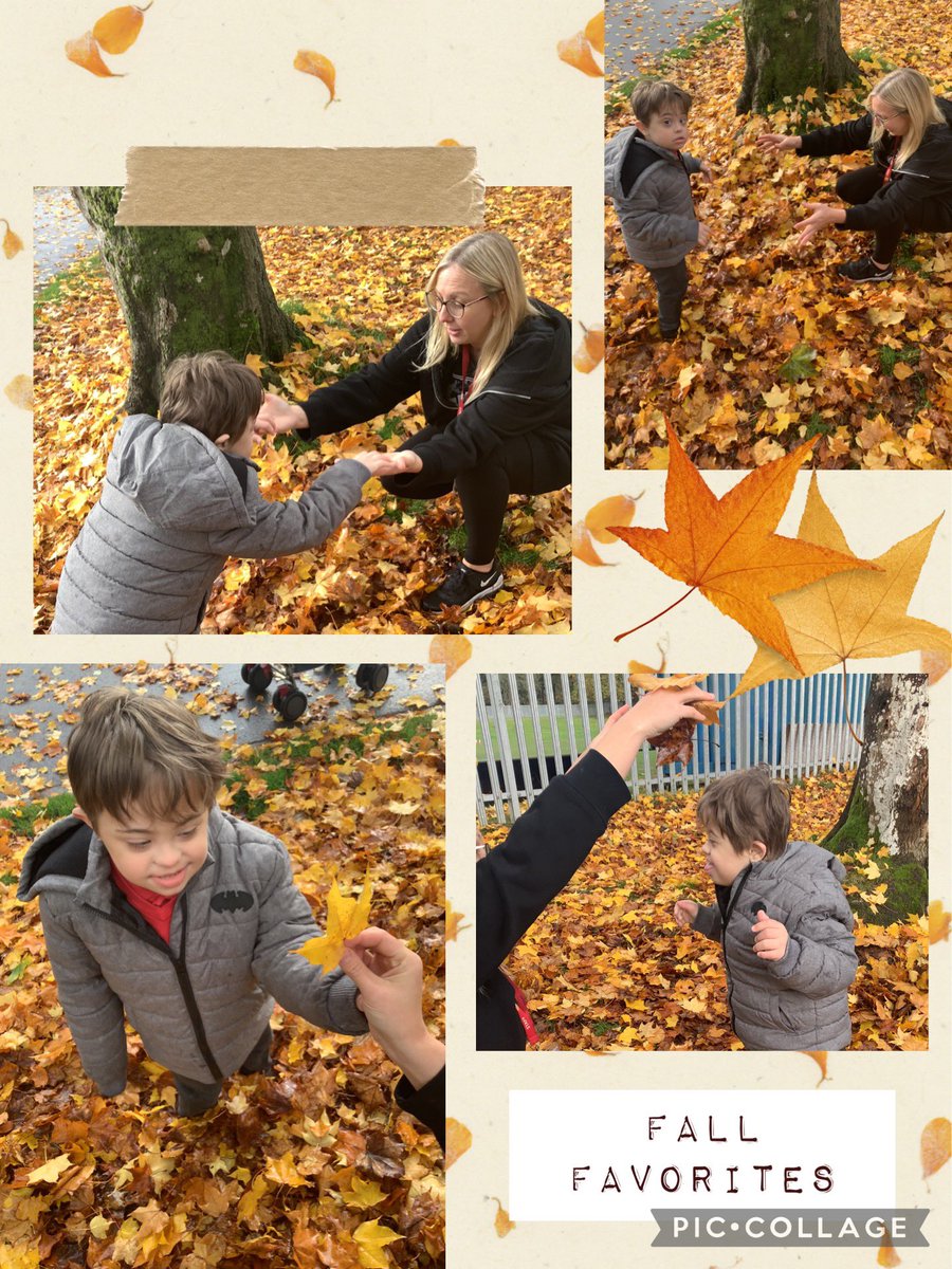 Ysgol Hen Felin tweet media
