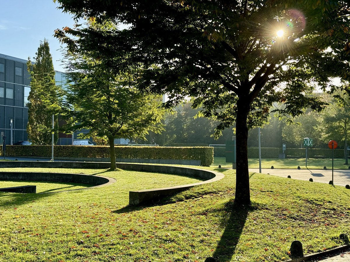 #Sunrise at <a href="/KULeuvenGent/">KU Leuven - Gent, Industrieel Ingenieur</a>

#photography #AutumnColors