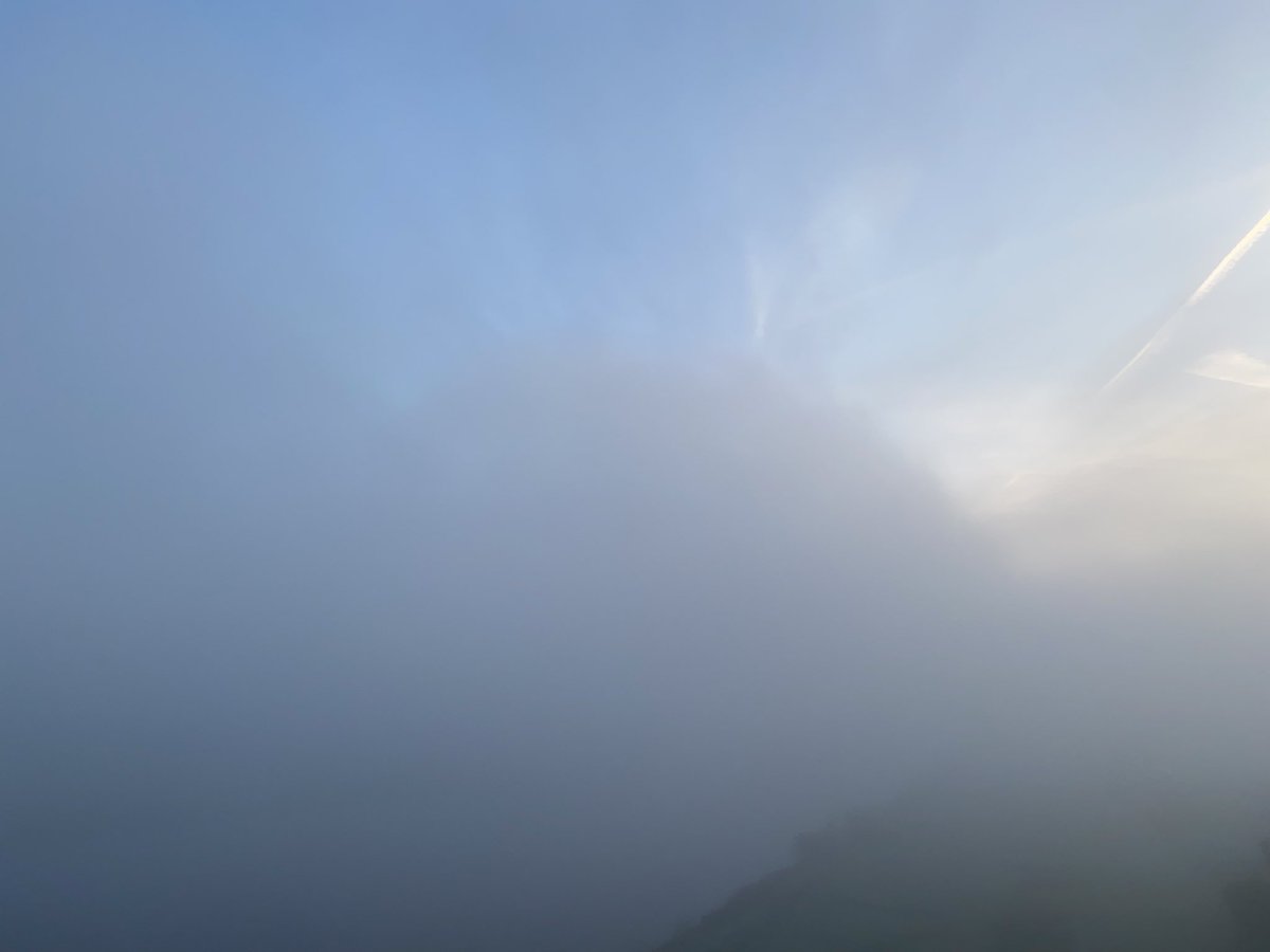 Azetbur's tweet photo. #mdrza war es so nebelig, dass es gut war den Weg auch blind zu kennen. Angenehm kühl war es. #entchen und ich haben es genossen. #pmdfis https://t.co/KgHUOQ9FVo