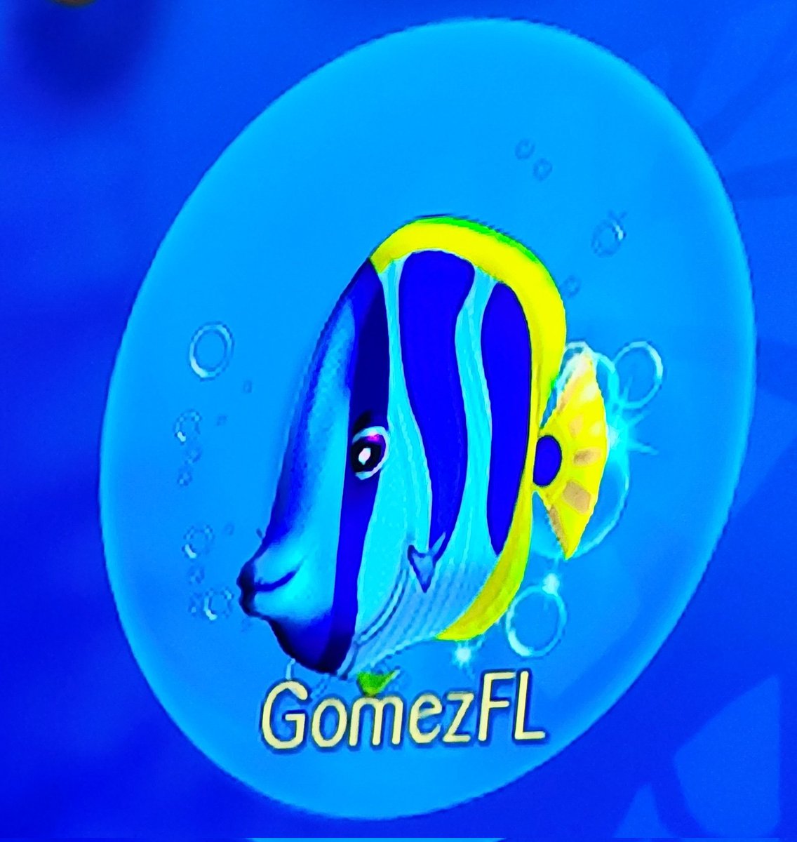 gomezfl fish
