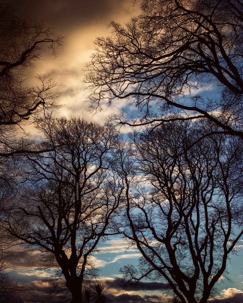 De cuando estaban sanos, de cuando todavía quizá se podían salvar. 

Fotos coruñesas irrepetibles para el recuerdo. Volumen XXV