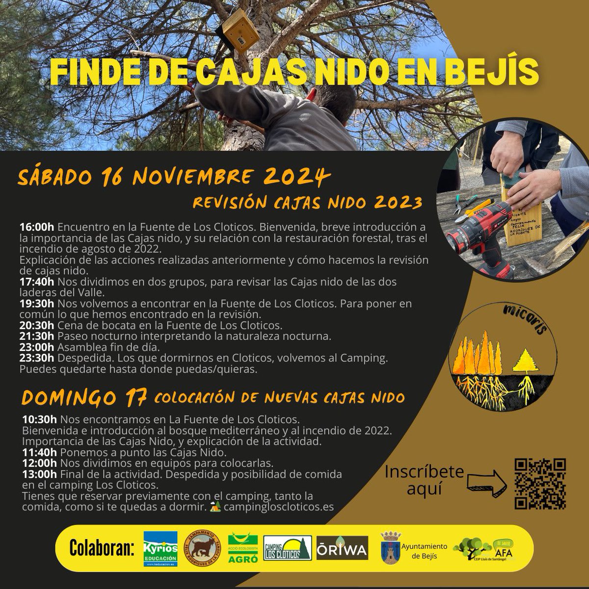 somosmicoris's tweet photo. 🔥 El incendio en Bejís de 2022 fue muy doloroso para nuestra asociación.

🐦 Por eso en 2023 comenzamos esta acción de colocación de cajas nidos para granívoras, para que con sus defecaciones ayuden a propagar semillas de especies autóctonas y a acelerar la restauración forestal https://t.co/1XMVaNEw3j
