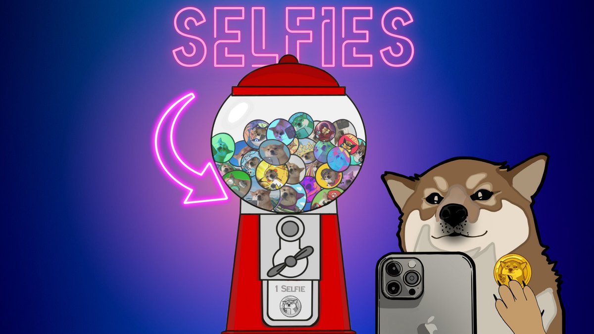 I forgot to mention that $SELFIE is one of my get-of-my-basement one-day coins. Just keep buying dips and one day be rich. That's the alpha.