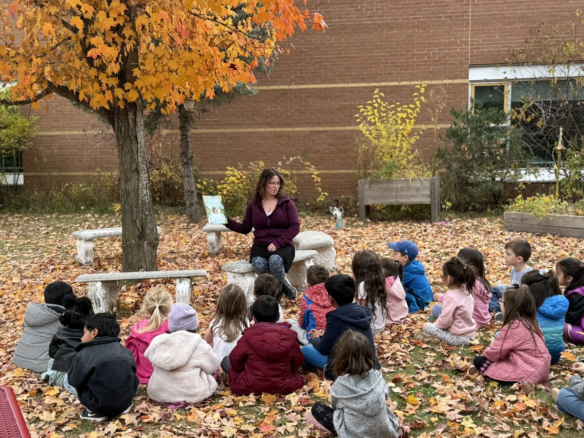 Nasim Askarinasab tweet media