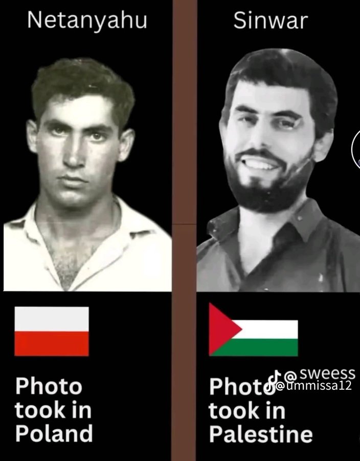 faizanwaralig's tweet image. #yahyasinwar 
#netan