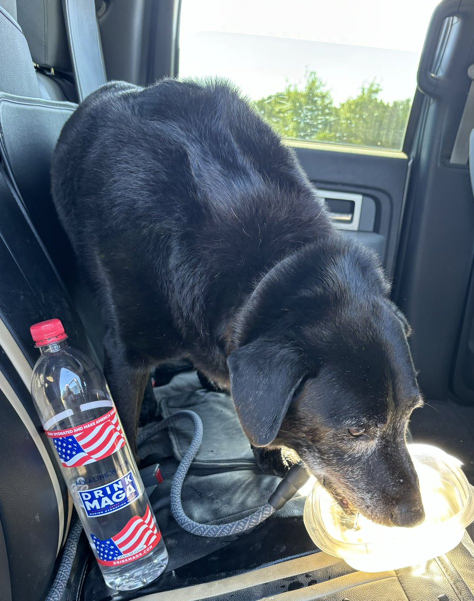 Capt1214's tweet photo. When you play hard you deserve the best! Help @drink_maga support our next President #Trump2024 #MAGA #MAHA https://t.co/JUy6EprslM