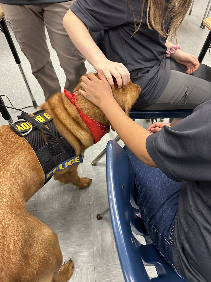 We love getting visits from K9 Officer Buddy from Mcallen ISD PD!  ❤️🐶<a href="/TerriersTravis/">TravisTerriers</a>