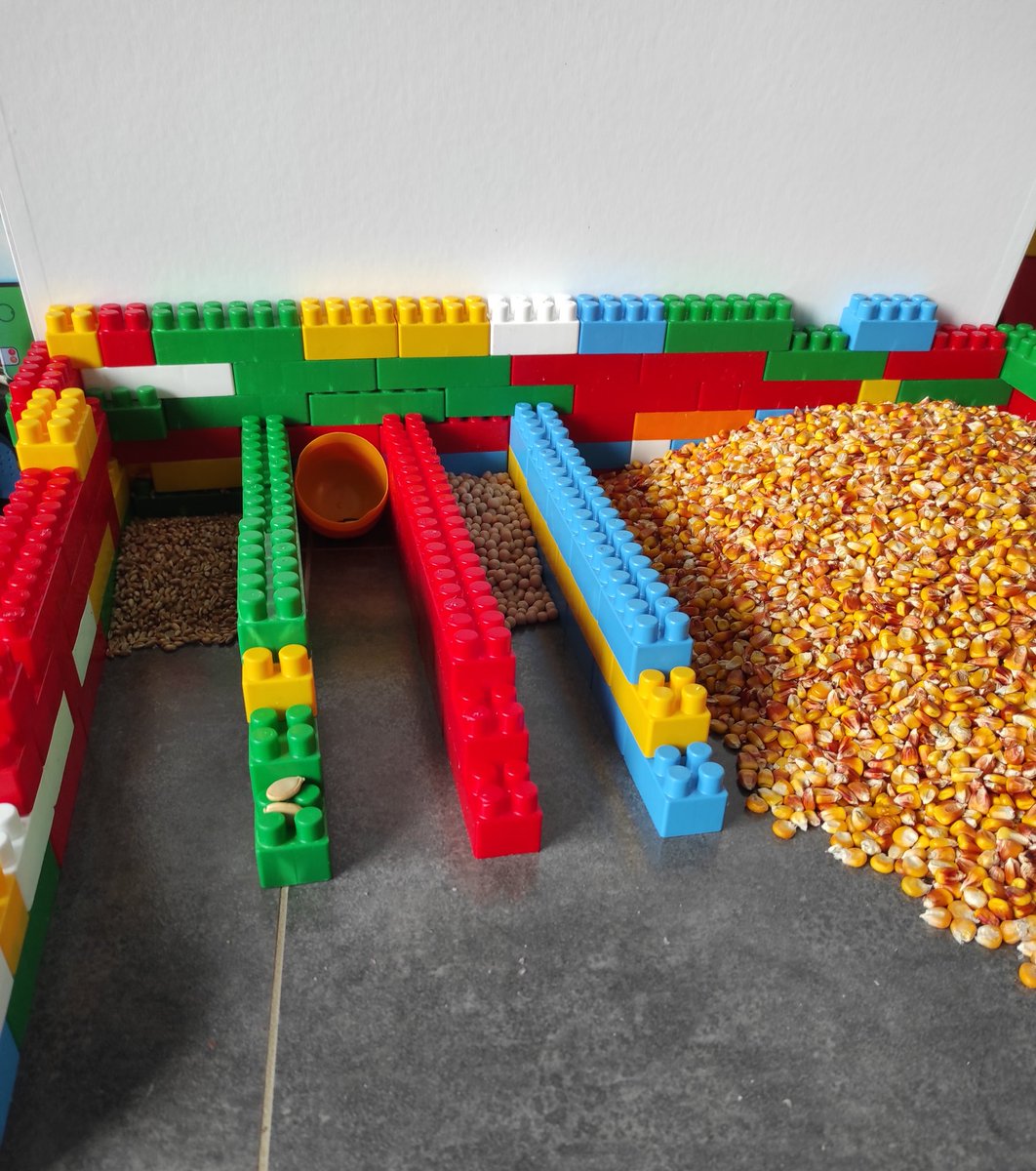 Guernion Muriel tweet media