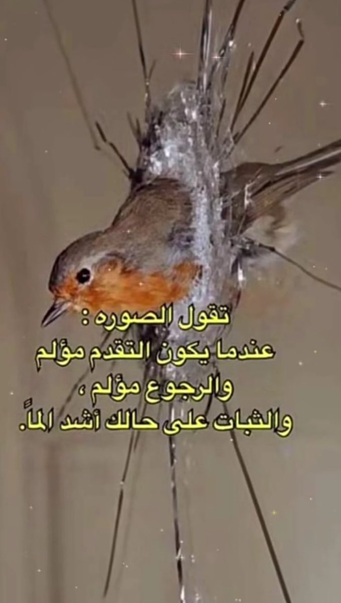 ♡ 〆 tweet media