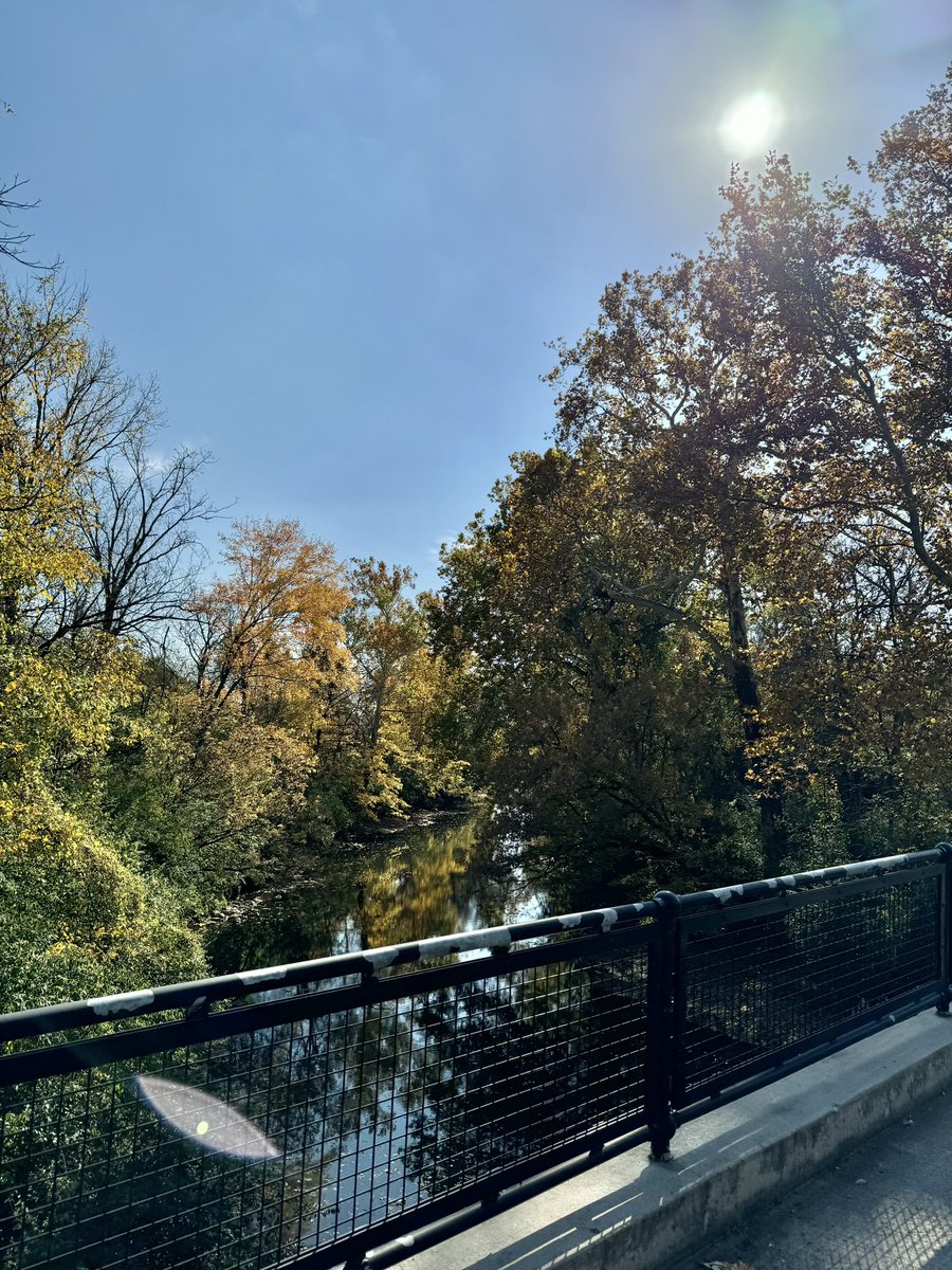 Ohio Dominican Softball tweet media