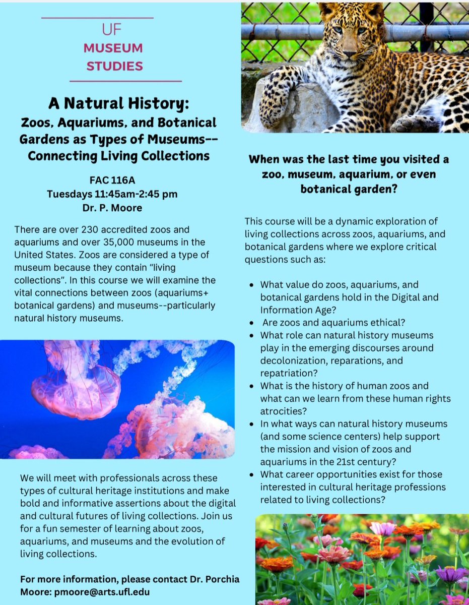 New Course Alert!
Spring 2025