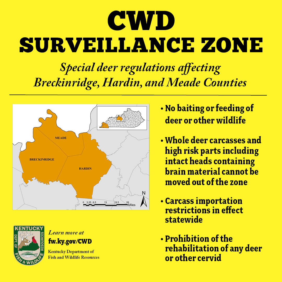 A CWD Surveillance Zone is now in effect for Breckinridge, Hardin, and Meade Counties following the detection of CWD in a deceased deer from a Breckinridge County deer farm. This measure aims to limit disease spread among wild deer. 

More information at fw.ky.gov/cwd.