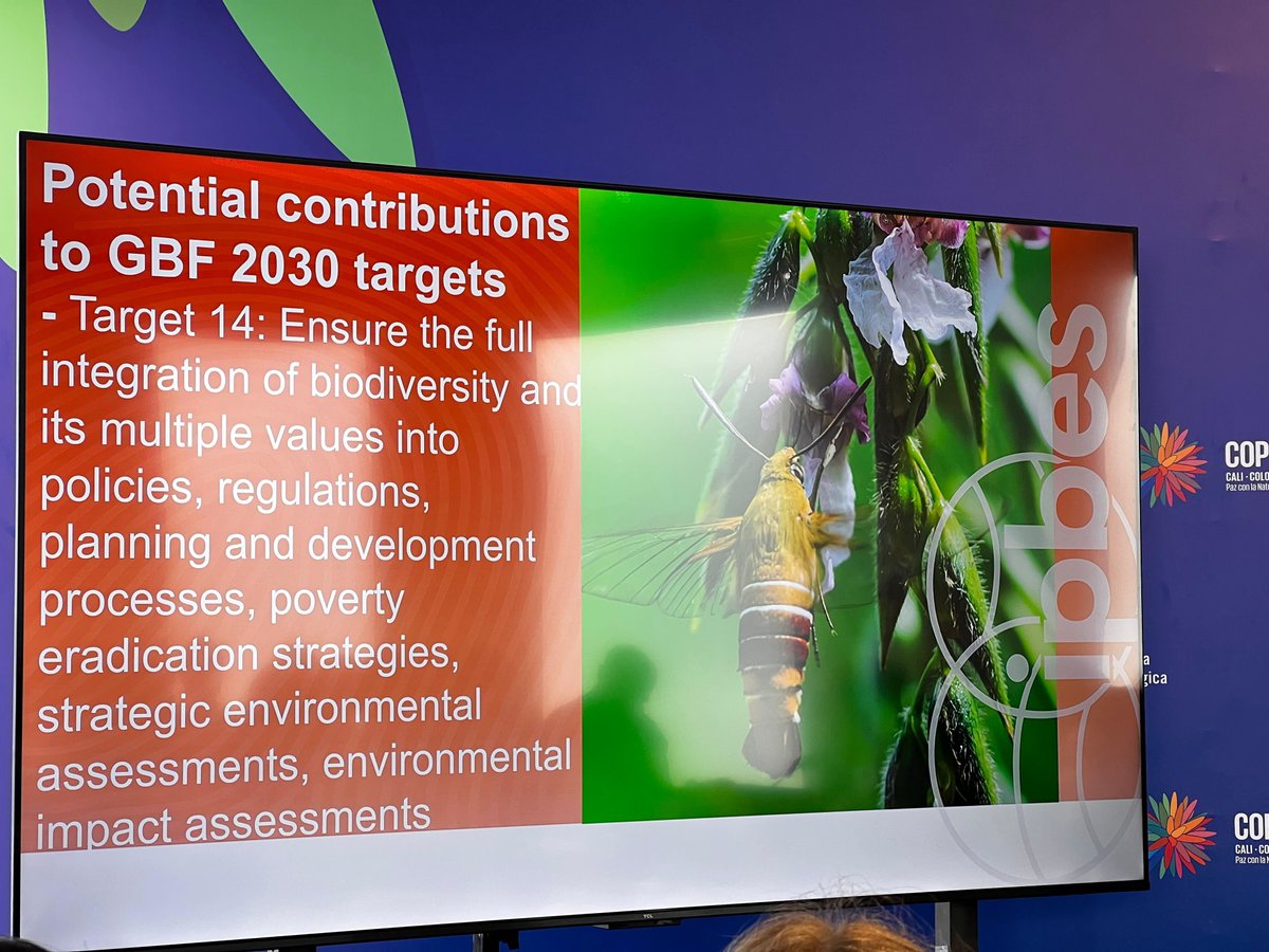CECweb's tweet photo. ‘People value nature in many different ways, reflecting diverse worldviews &amp; there’s a need to move away from a narrow, unsustainable market view of biodiversity &amp; embrace a wider view of nature’s values for more just &amp; sustainable outcomes’
—@MikeChristieUni, @IPBES 

#COP16 https://t.co/ehNyjU2I2p