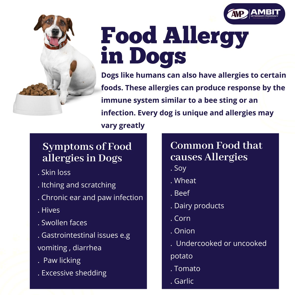 ambitvetpharma's tweet photo. Is your furry friend itching, scratching or experiencing digestive woes? It might be a food allergy! Discover the common culprits & remedies!

Diagnosis and Treatment:

1. Consult a veterinarian for an elimination diet or food trial.
2. Gradually introduce new foods to monitor reactions.
3. Consider hypoallergenic or novel protein diets.
4. Manage symptoms with medication, if necessary.

Prevention:

1. Feed a balanced, nutrient-rich diet.
2. Rotate protein sources and ingredients.
3. Avoid fillers and preservatives.
4. Consider raw or cooked diets (consult a veterinarian).

#PharmaEducationDaily #FoodAllergyAwareness
