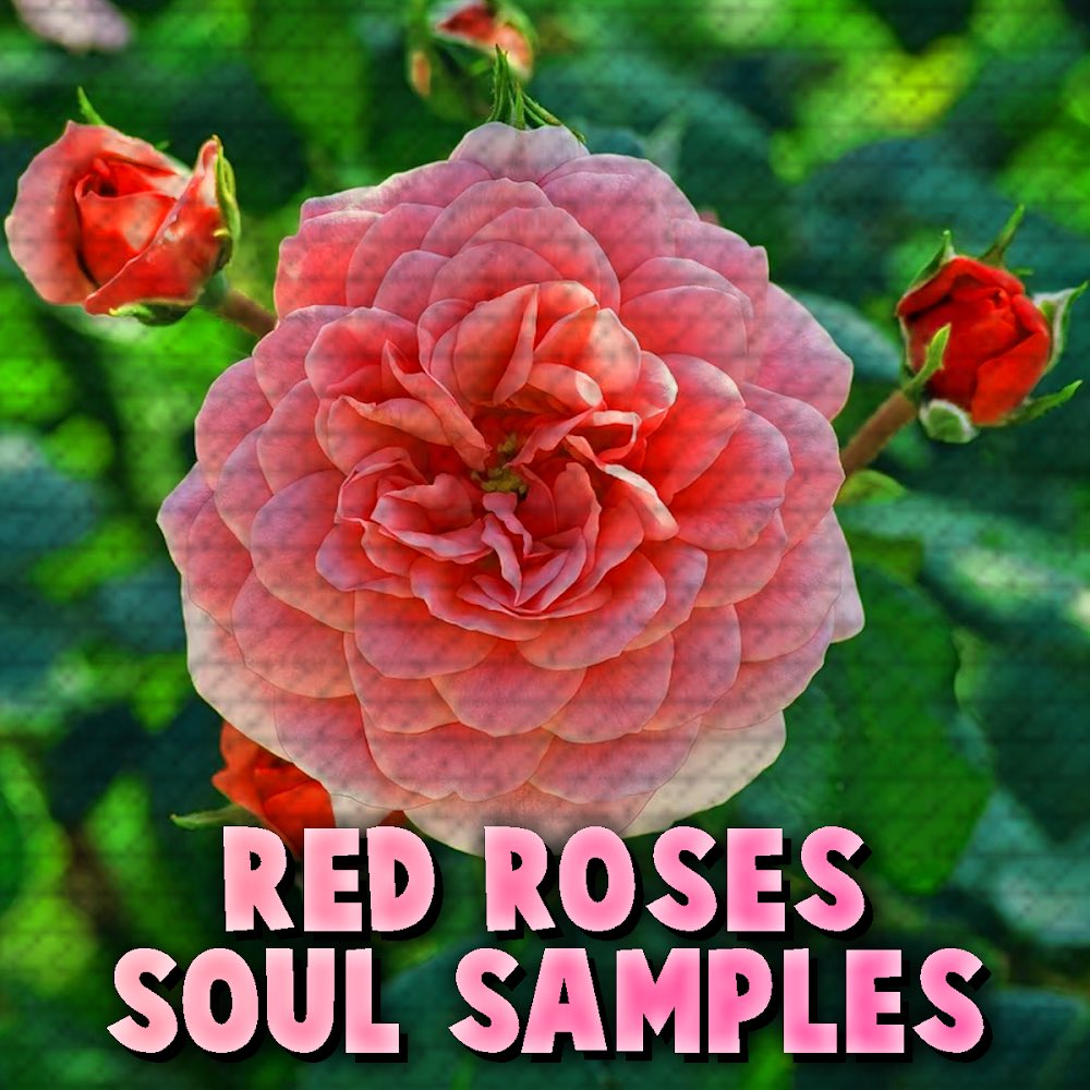 RED ROSES SOUL SAMPLE LOOP KIT available for FREE DOWNLOAD on ELIZABETHRECORDS.net/kits