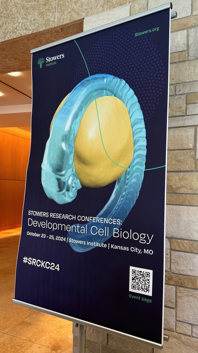 ScienceStowers's tweet image. Welcoming attendees of #SRCKC24 to the Institute! Looking forward to all of the innovative research being shared over the next few days. #DevBio #ResearchConference