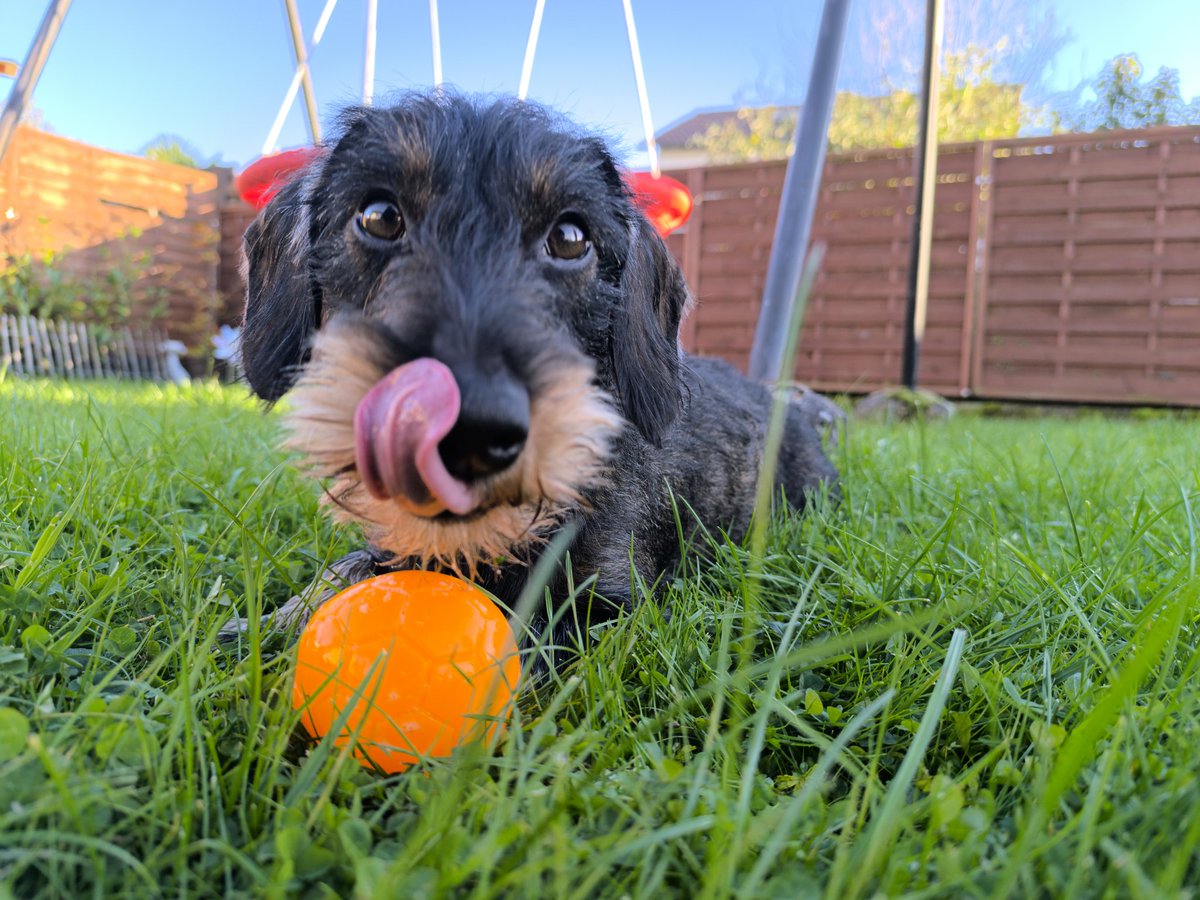 Hellas Bellas und Bellis 💋❤️