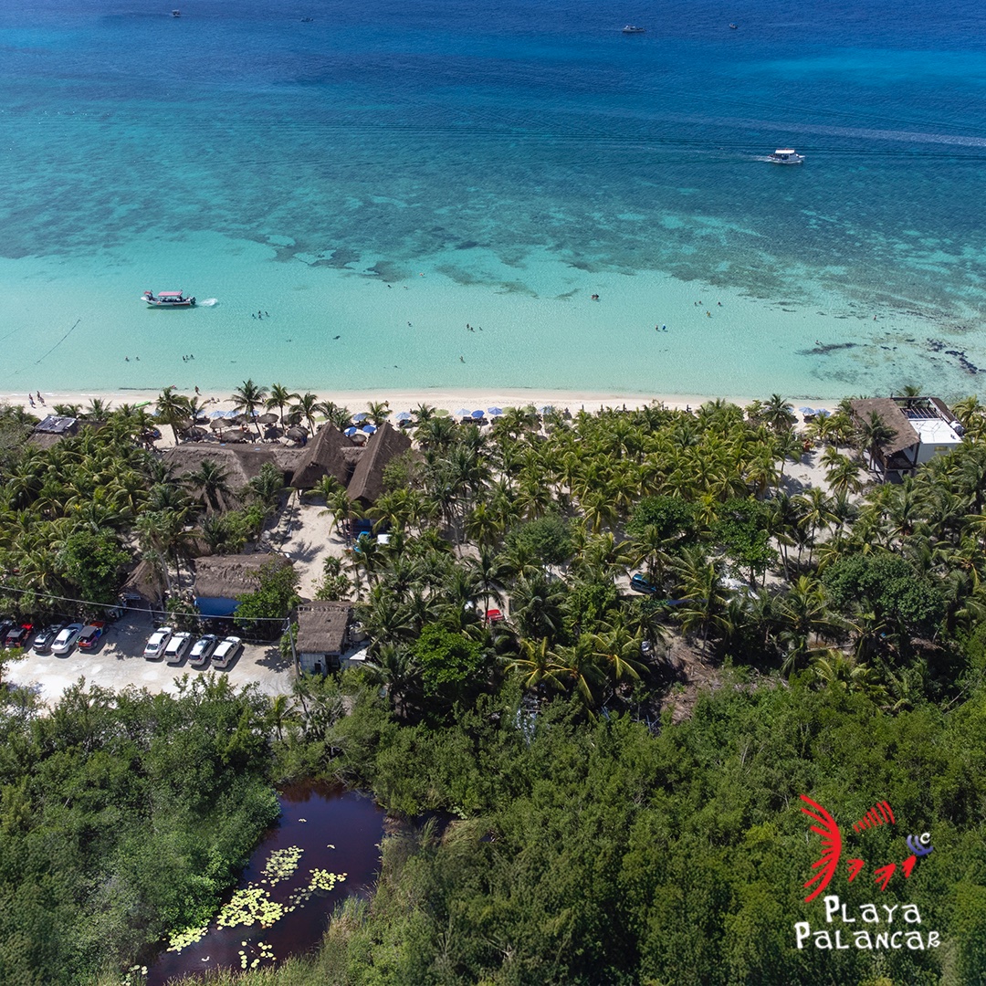 Cozumel Cruise vacation? Our beach club in Cozumel offers a wide range of water sports, from snorkeling to paddleboarding. Plus, explore extensive beach #PlayaPalancarBeachClub 
playapalancar.com.mx
#PlayaPalancar #RivieraMaya #Cozumel
#cozumelcruisevacation
