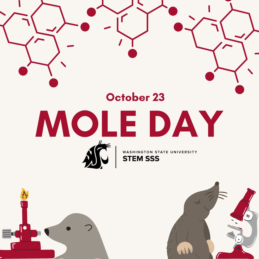 WSU College Success Programs tweet media