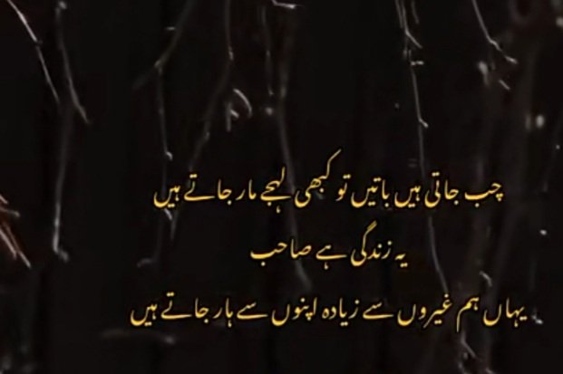 SHAHZAD (@shahzad486548) on Twitter photo 