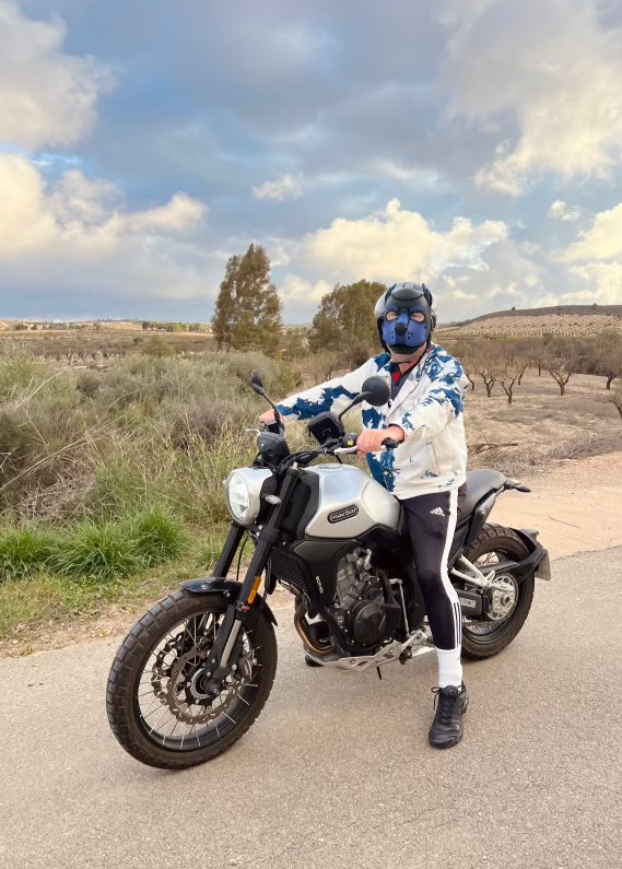 rex_pup's tweet photo. Rex &amp; Sören might be riding around the Tabernas desert in southern Spain…..and loving it ! https://t.co/J9NRQt3Bf6