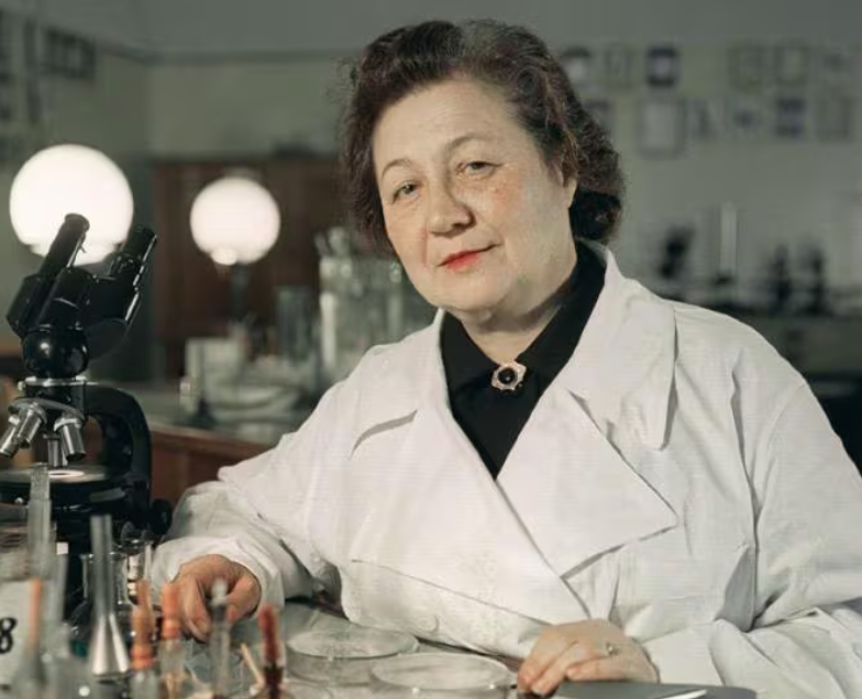 loretahur's tweet photo. #TalDíaComoHoy en 1898 nace la microbióloga Zinaída Iermólieva. Inventó un método rápido de diagnóstico del cólera y un medicamento contra esta enfermedad, la fiebre tifoidea y la difteria. Creó el kroustozine, antibiótico análogo a la penicilina y la llamaban «señora penicilina» https://t.co/ZDetiodPEo