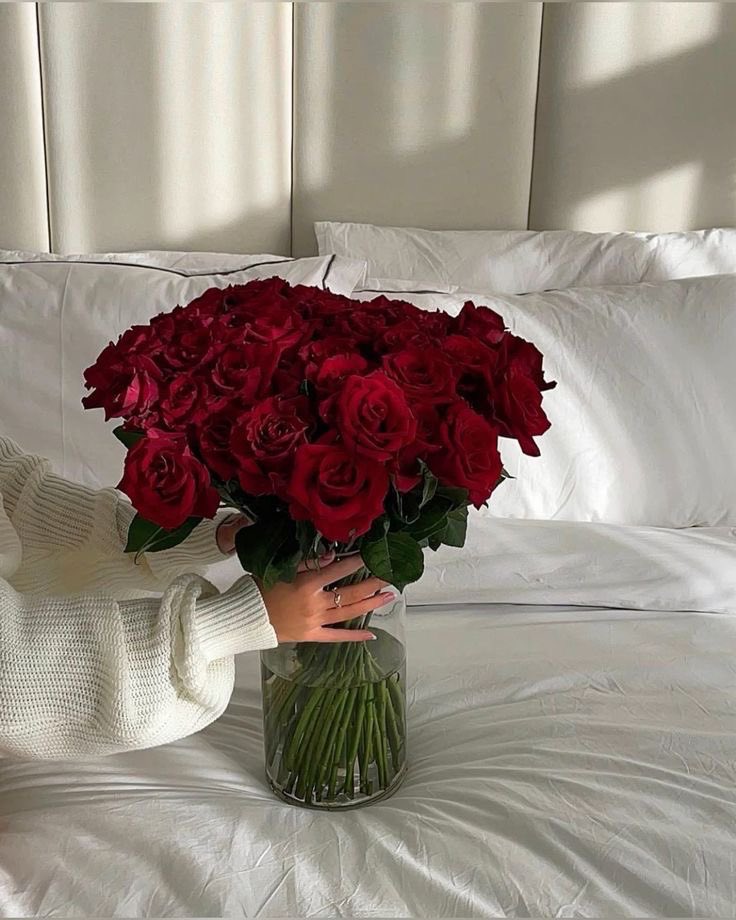 i3Moment's tweet image. Red roses