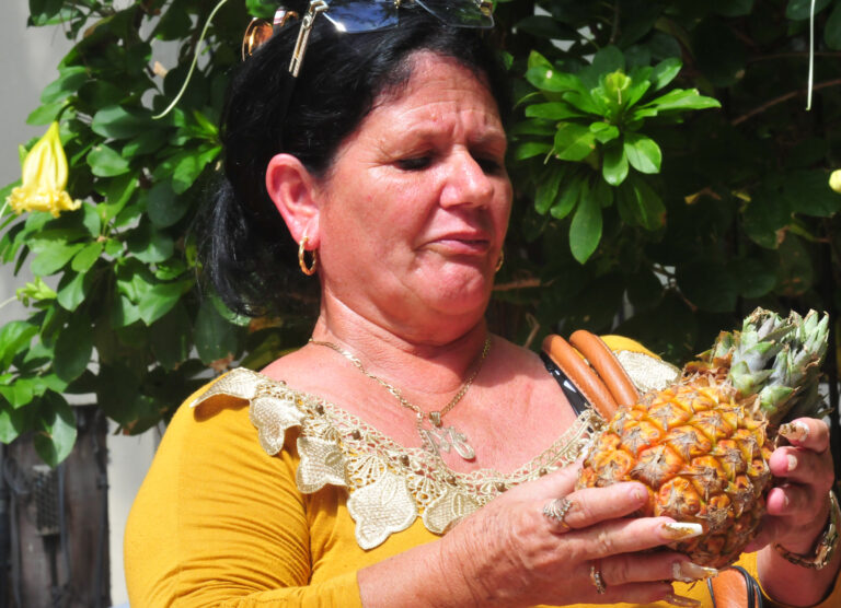 RevistaBohemiaCuba tweet media