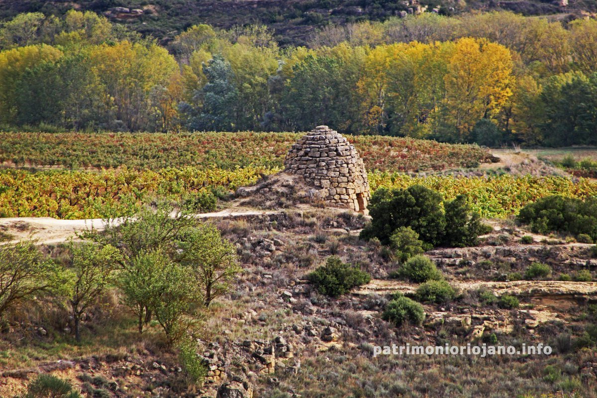 PatrimonioRioja's tweet photo. Iconos del paisaje, vigilantes del viñedo. 
Desde Haro, en el Meandro de Tondón, el chozo / guardaviñas de El Perdigón.
Los paisajes del viñedo de Rioja en otoño. 
💚💛♥️🍇🏞️✨🍁 https://t.co/pwum6gTPrs