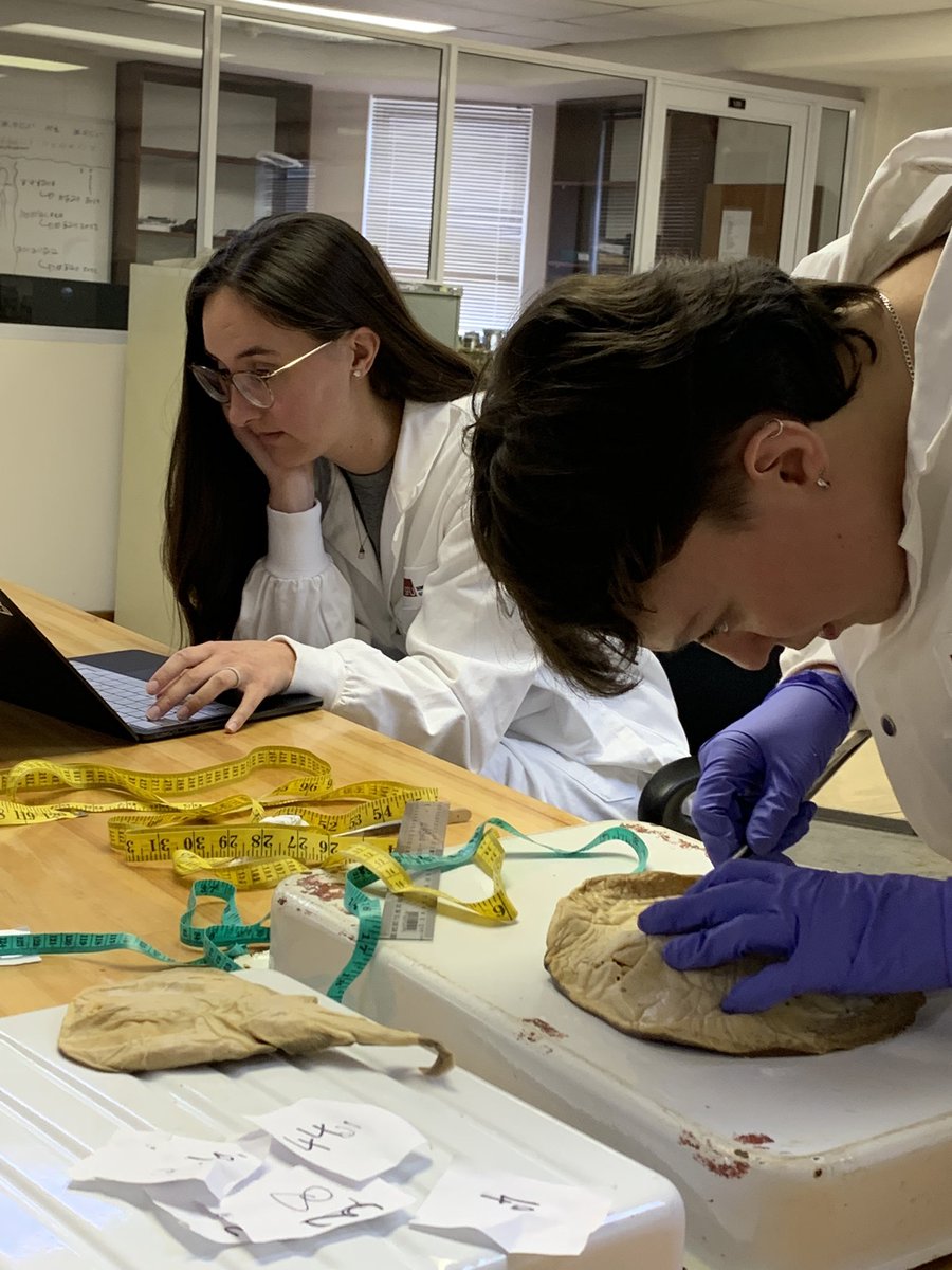 Nicholas Dulvy tweet media