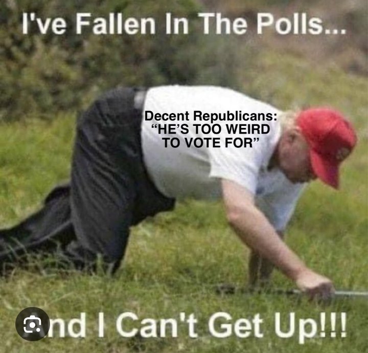 TonyLeach72's tweet photo. @JoeyMannarinoUS Democrats got 81 million last election, an ALL TIME HIGH!....and we're breaking that record next month...with the help of half the GOP voting for Harris....I predict 90 million! And a jailed trump https://t.co/3v3YSmJGrB