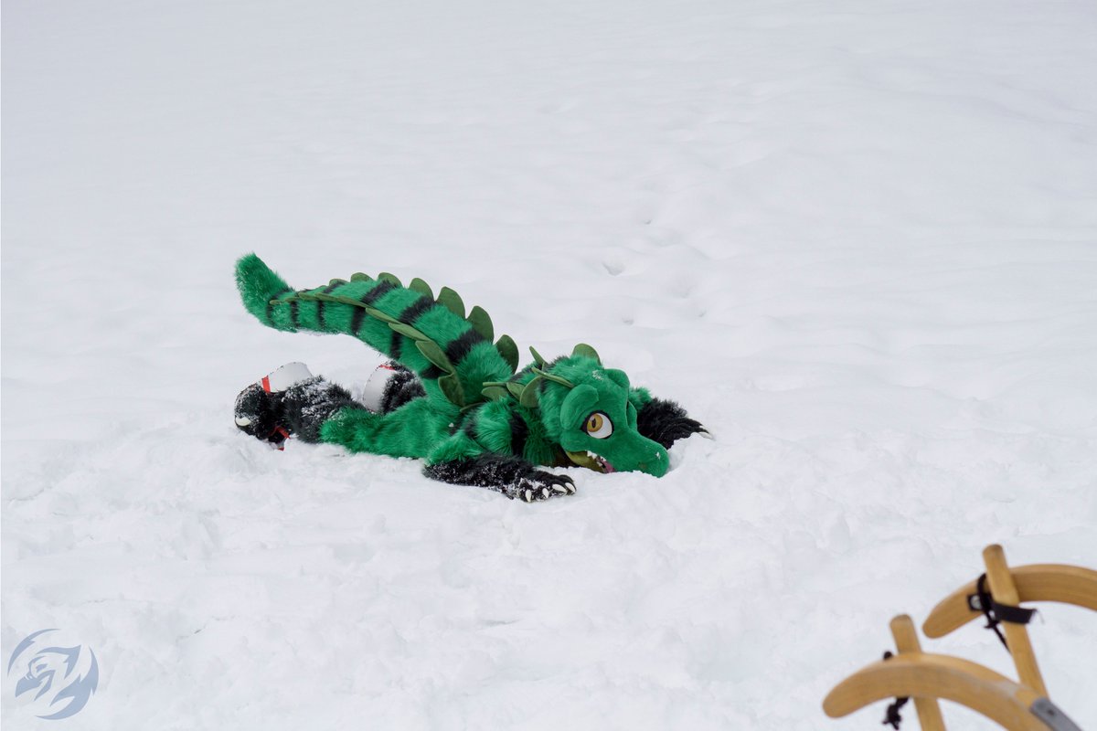 More Fur Less (@morefurless) on Twitter photo Camouflage is a bit harder to come by when your swamp freezes over π
π<a href="/dile_dan/">Dan O'Dile @NFC</a>
πΈ<a href="/AvalonBlueavian/">The Real Avalon Jay, Bluejay, Phoenix, Blueavian</a> Camouflage is a bit harder to come by when your swamp freezes over π
π<a href="/dile_dan/">Dan O'Dile @NFC</a>
πΈ<a href="/AvalonBlueavian/">The Real Avalon Jay, Bluejay, Phoenix, Blueavian</a>