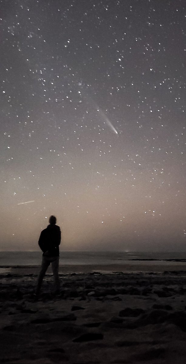 Dr Pineapple tweet media