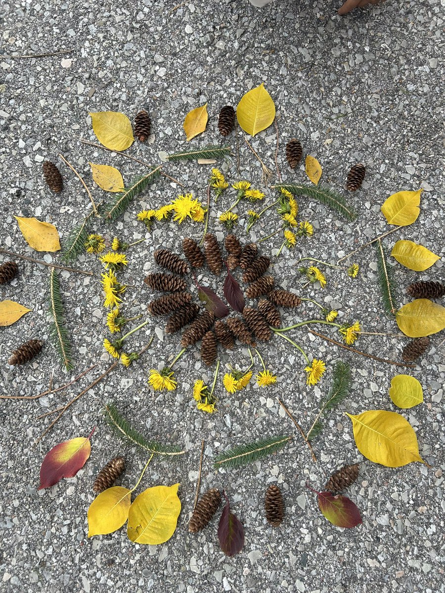 jasMangat6's tweet photo. Our class is creating ripples of creativity and connection to nature! Today we celebrated #TakeMeOutsideDay by crafting beautiful nature walk Mandalas, appreciating the beauty of our environment and fostering a deeper connection to the outdoors. #TMOweek @goldcrest_ps @PeelSchools