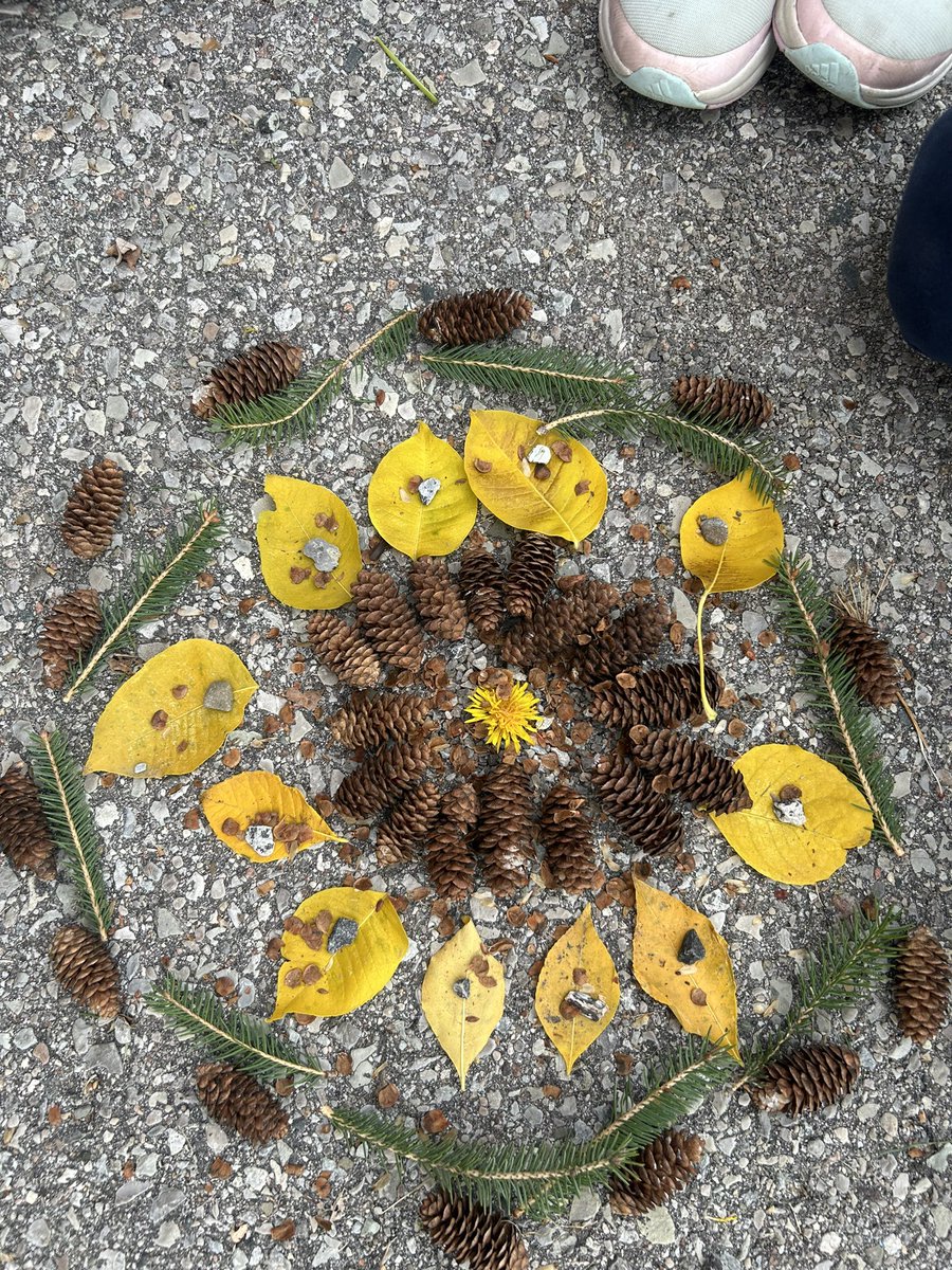 jasMangat6's tweet photo. Our class is creating ripples of creativity and connection to nature! Today we celebrated #TakeMeOutsideDay by crafting beautiful nature walk Mandalas, appreciating the beauty of our environment and fostering a deeper connection to the outdoors. #TMOweek @goldcrest_ps @PeelSchools