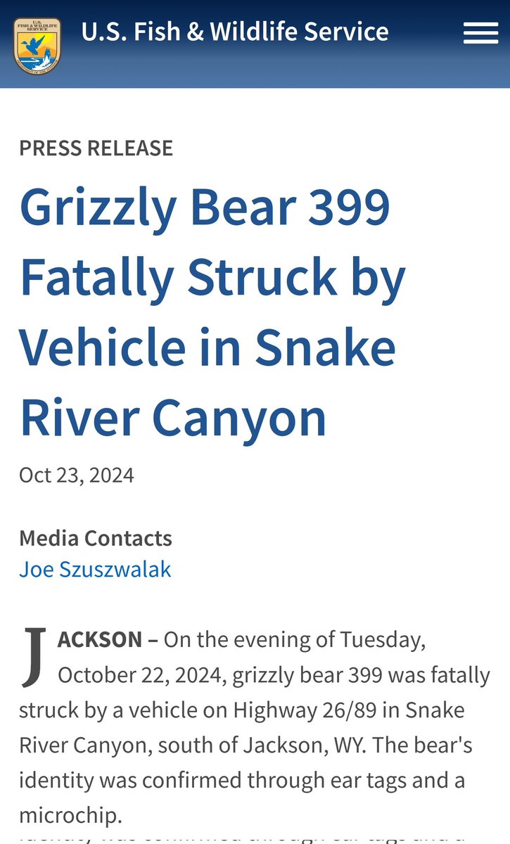 I am absolutely heartbroken to hear that this bear, the reason I became a wildlife photographer, is dead. I'm not exaggerating when I say she completely changed my life. Every cool experience I've had in the last 4 years is because of her. Devastated.