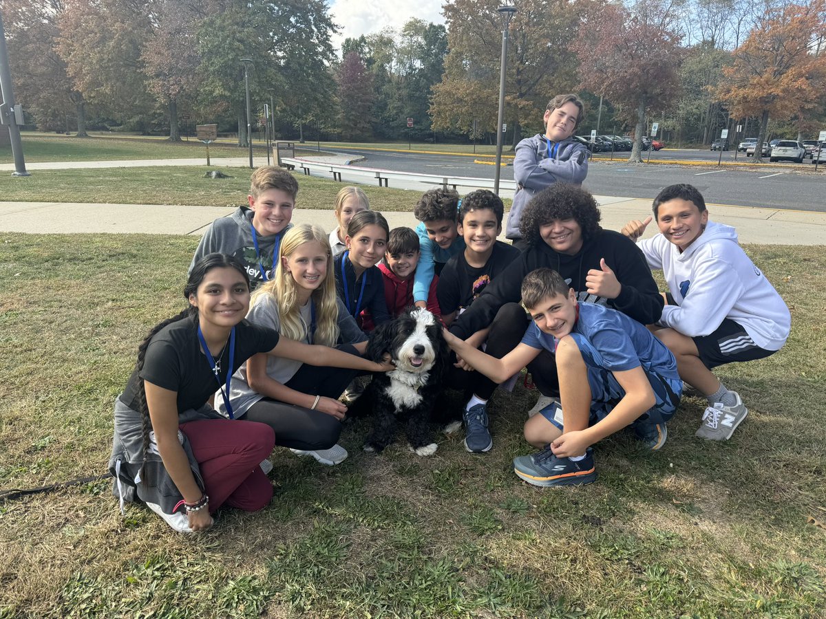 Archie THE Therapy Dog tweet media