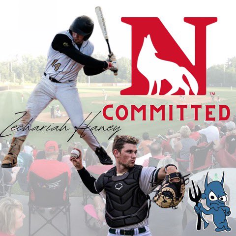 Diamond Devils BB tweet media