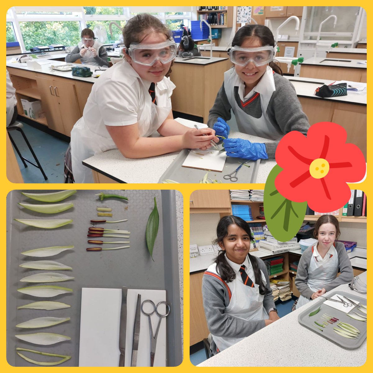 Science | St John's College, Cardiff tweet media