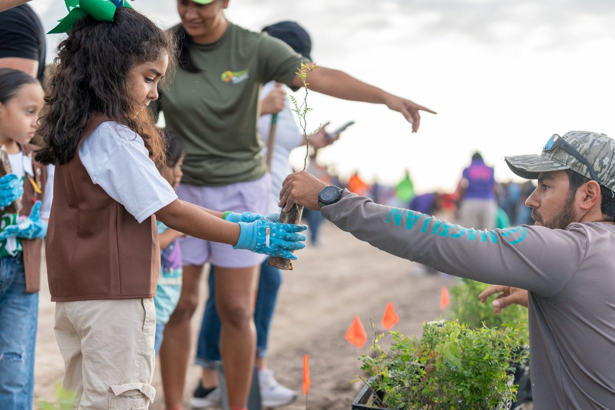 AmericanForests's tweet photo. This past weekend, the largest native thornforest community planting event in the U.S. took place in the heart of the Rio Grande Valley. 

🌱Over 1,600 volunteers from across the region came together to plant an incredible 15,092 seedlings. https://t.co/c518nUl7EI