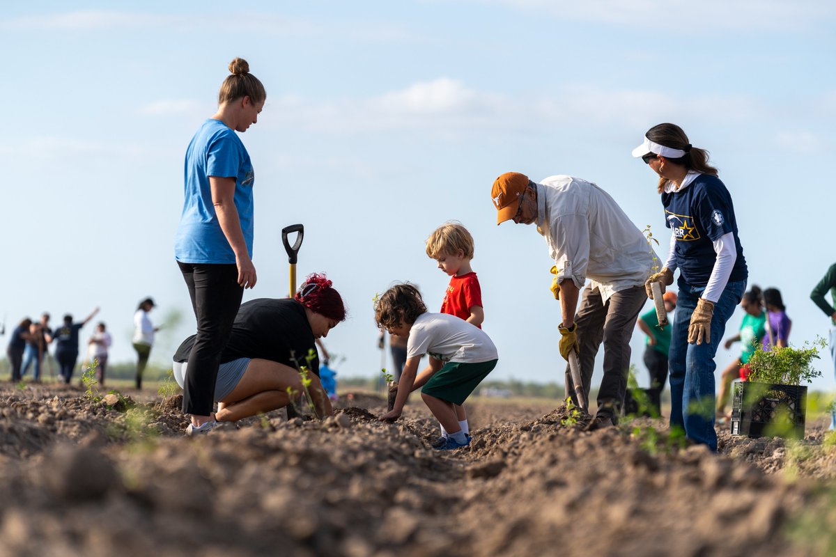 AmericanForests's tweet photo. This past weekend, the largest native thornforest community planting event in the U.S. took place in the heart of the Rio Grande Valley. 

🌱Over 1,600 volunteers from across the region came together to plant an incredible 15,092 seedlings. https://t.co/c518nUl7EI