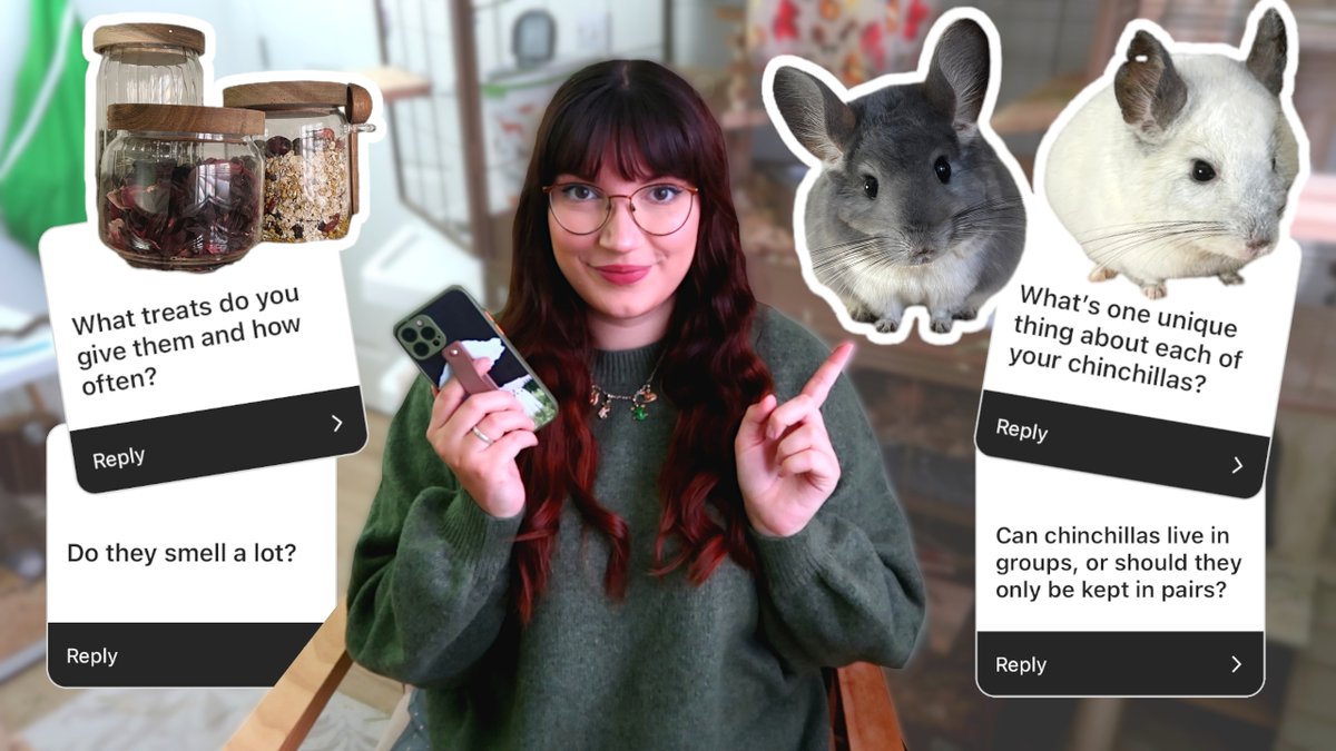 Emi 🐀🐁 tweet media