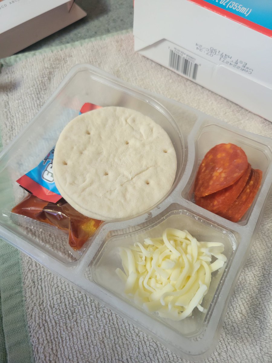 🦔NeedleFloof🦔 tweet media