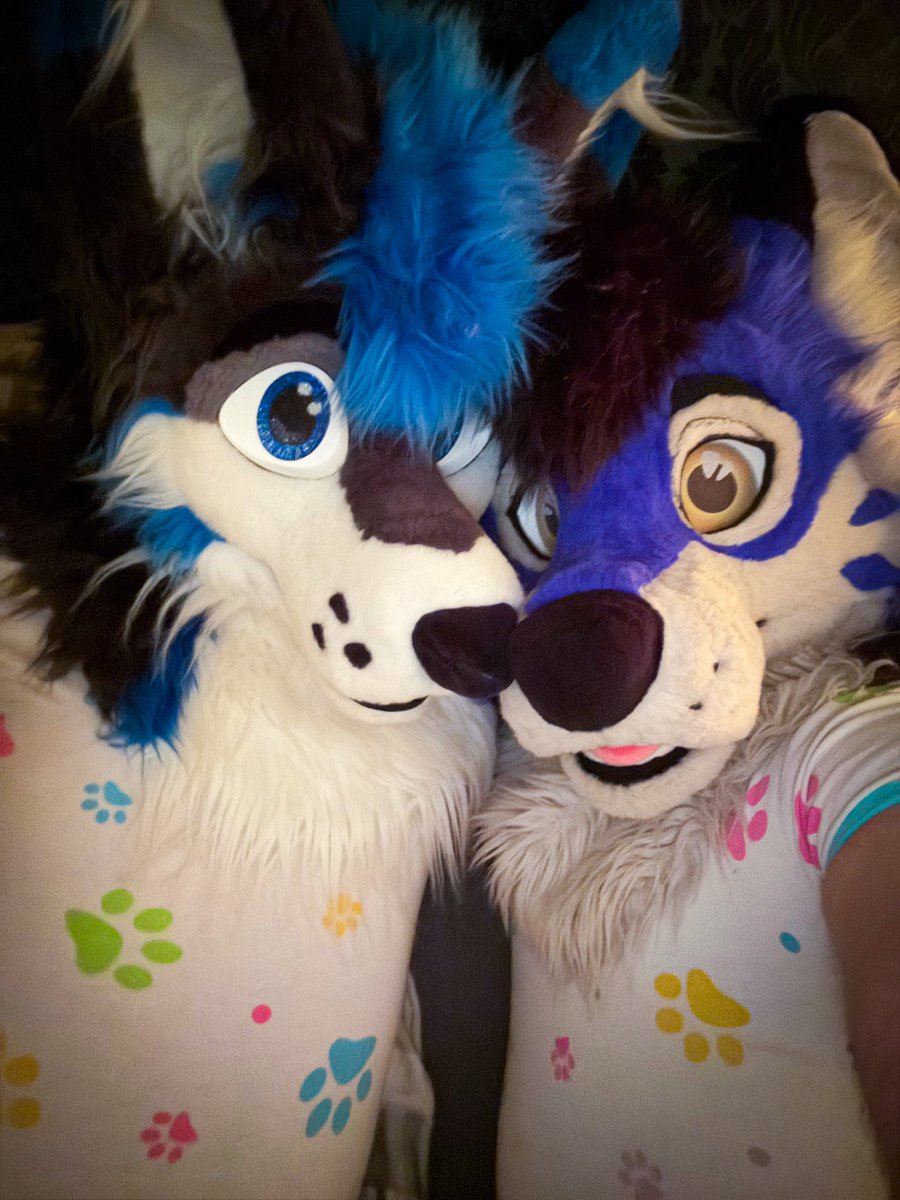 AD_AmexHusky's tweet photo. Time for bed! 💤🐾 Today I’m going to sleep with little @akithepup in a partnerlook. 💙✨ We wear our matching bodysuits and snuggle up comfortably. There’s nothing better than ending the day with a best friend by my side. 🐶💖 Sweet dreams, dear ones! 🌙⭐ #furry #abdl #cuddlytime #sweetdreams