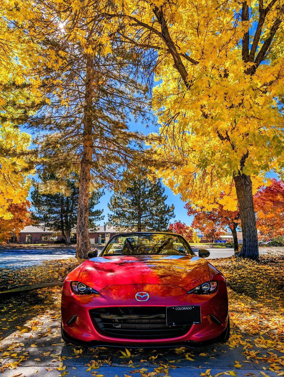 Fall incoming means a feast for the senses — something that Miata drivers feel year-round. #MazdaMX5 (📸: IG/littleredmx5)