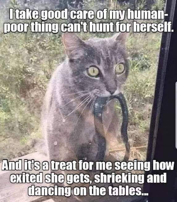 😂