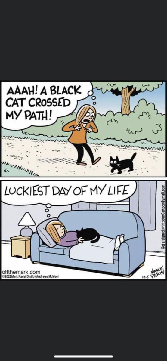 LailaAsmi's tweet photo. #blackcatsrock https://t.co/Pm5lvXa5Ca