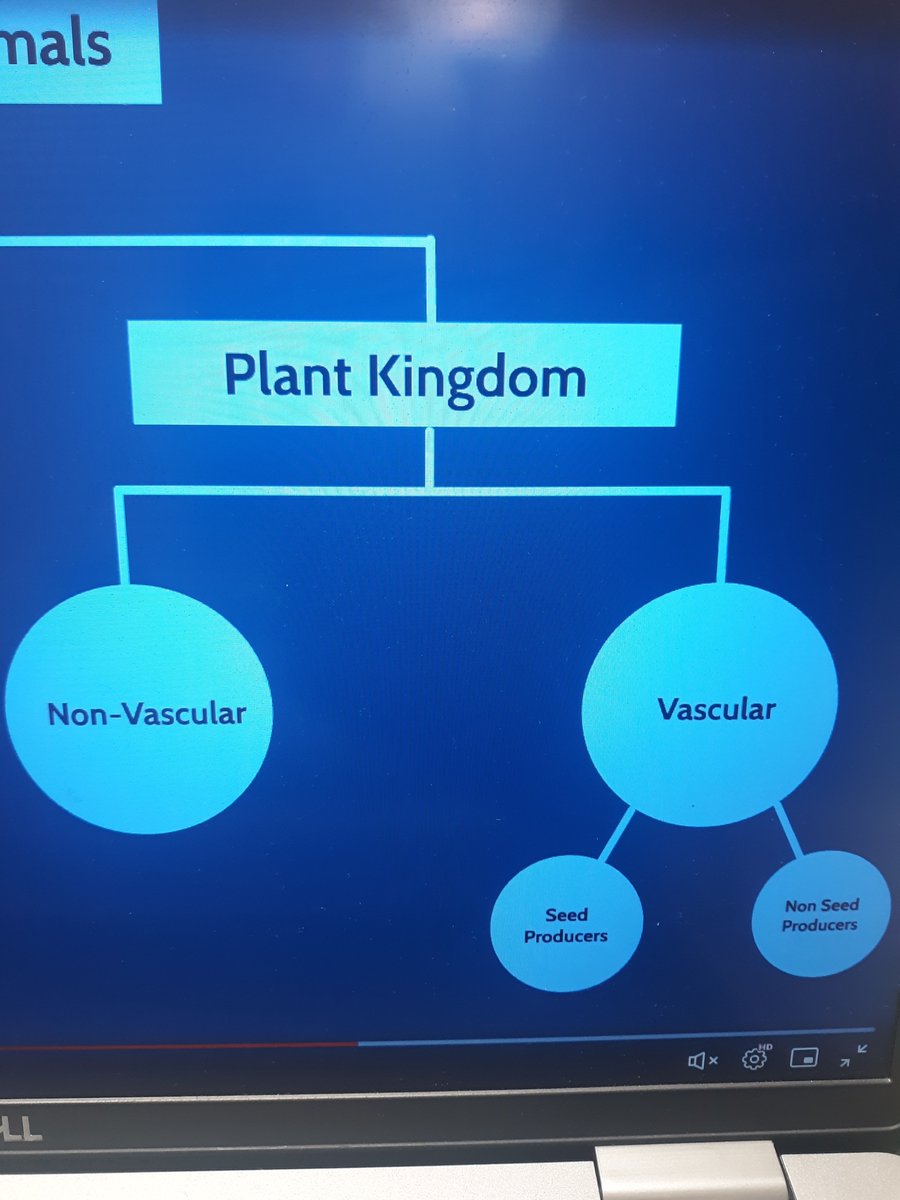Dunleith STEM tweet media